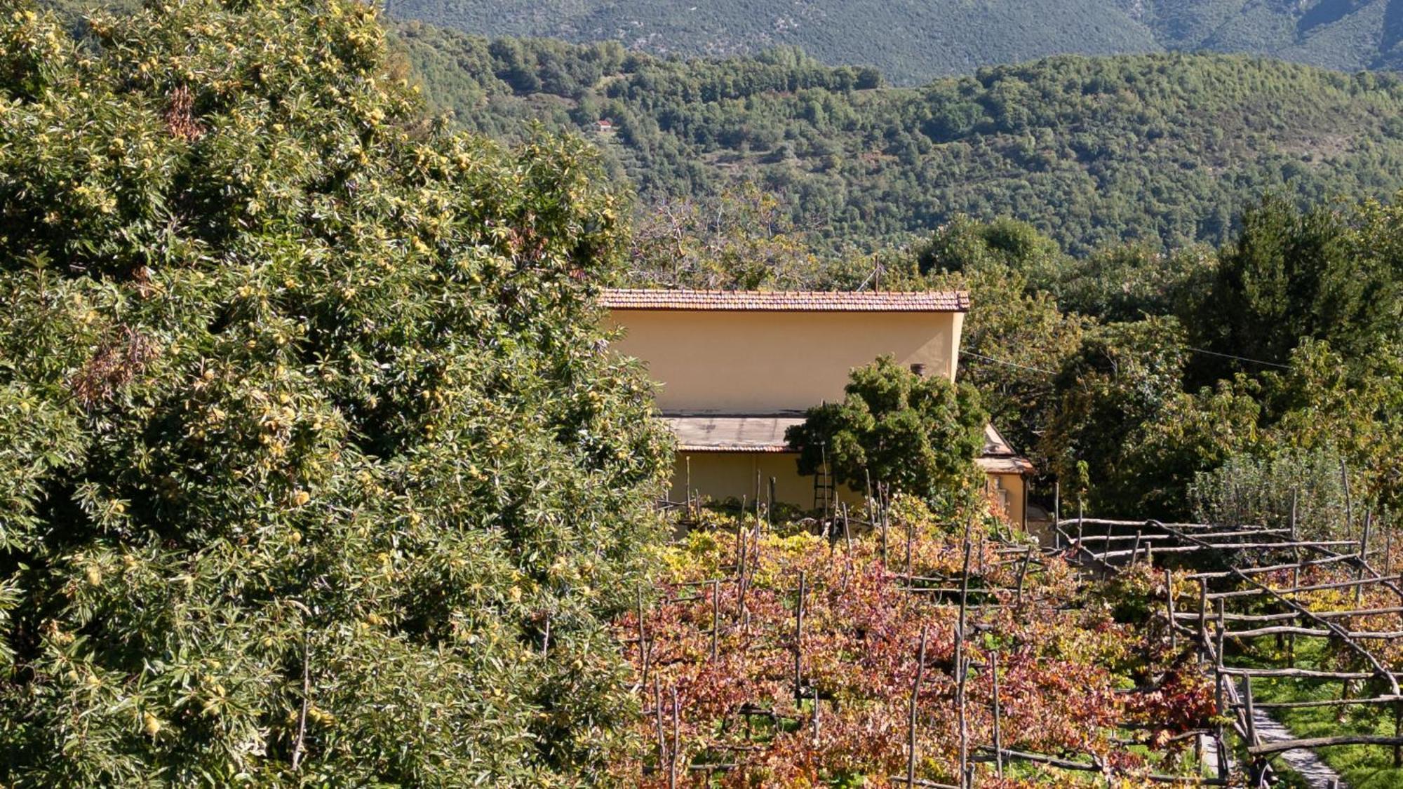 Casa Giordano Villa Tramonti Buitenkant foto
